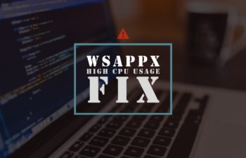 wsappx high cpu usage